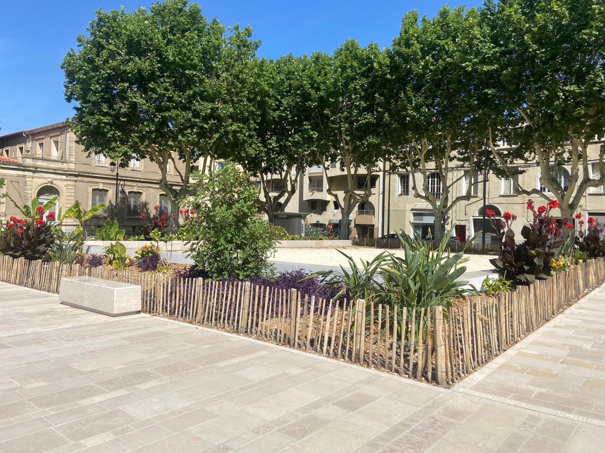 Charmant Appartement Central Terrasse Proche Gare 塞特港 外观 照片